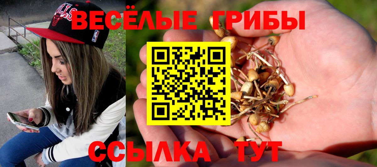 Галлюциногенные грибы GOLDEN TEACHER Алексин
