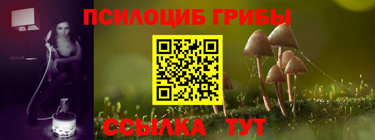 где купить наркоту  Вход с VPN  Алексин  Псилоцибиновые грибы ЛСД 